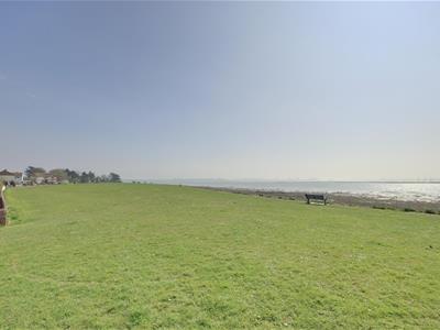 Picture 11